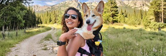 Packing for a Dog-Friendly Road Trip: The Ultimate Checklist