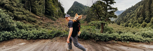 How to Measure Your Dog for a Backpack (Size Guide Included)