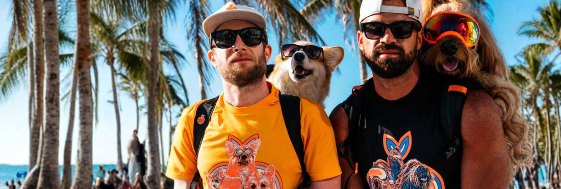 Best Dog Backpacks for Small, Medium, and Large Breeds in 2025