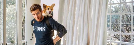 The best dog hip and joint supplement: what I learned trying to find one for Maxine