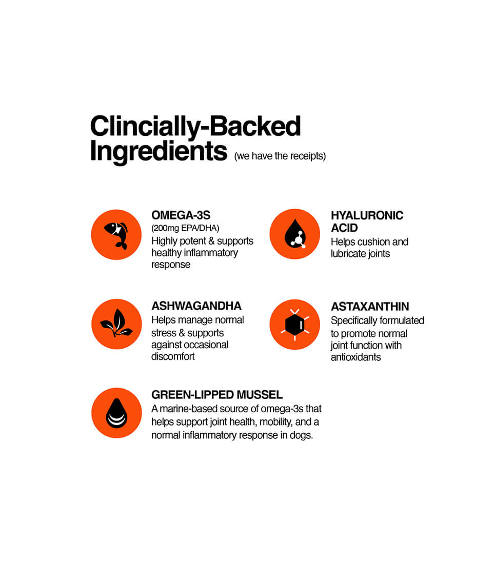 Hip & Joint 2.0 Advanced Support