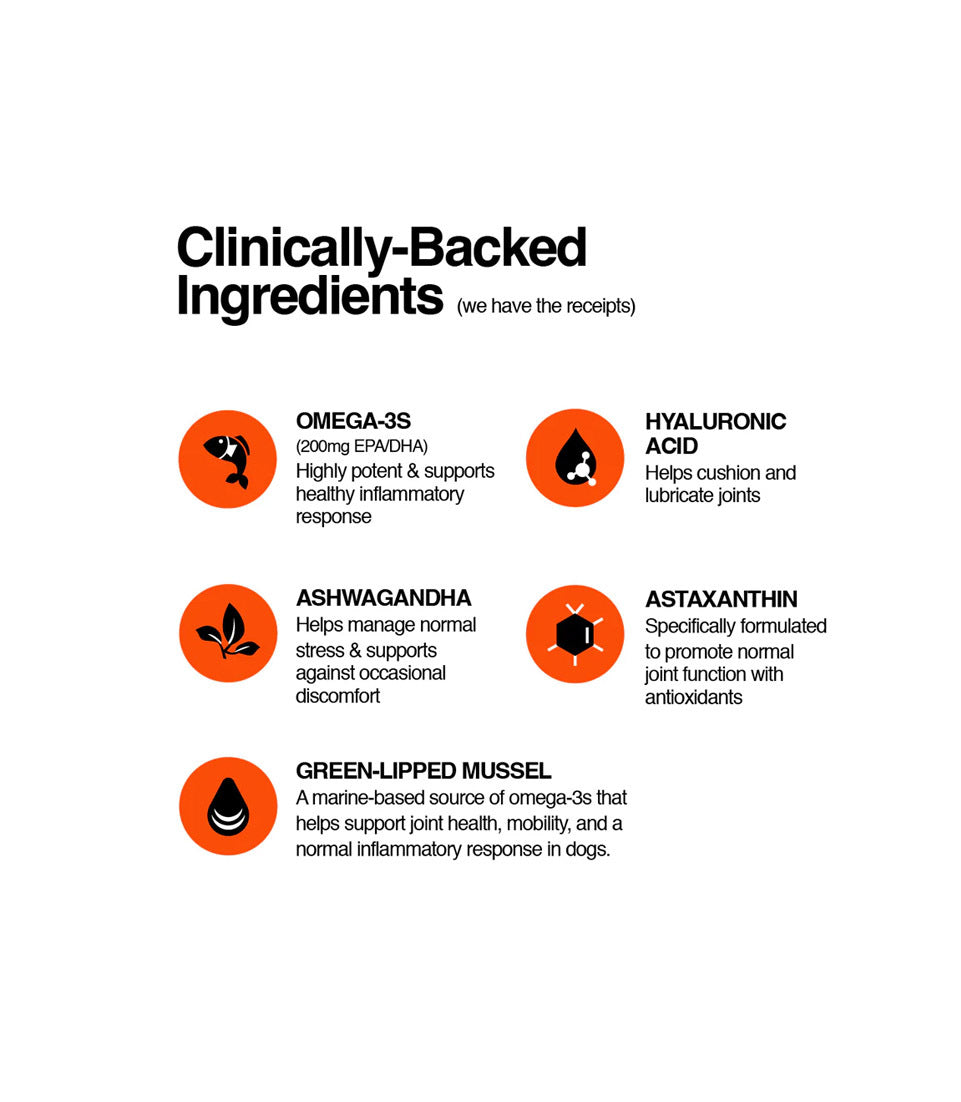 Dog Hip & Joint Chews Veterinary-Formulated Mobility Little Chonk Dog Hip & Joint Chews Veterinary-Formulated Mobility Little Chonk