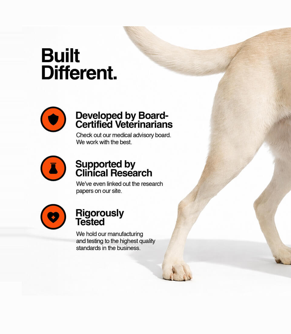Dog Hip & Joint Chews Veterinary-Formulated Mobility Little Chonk Dog Hip & Joint Chews Veterinary-Formulated Mobility Little Chonk