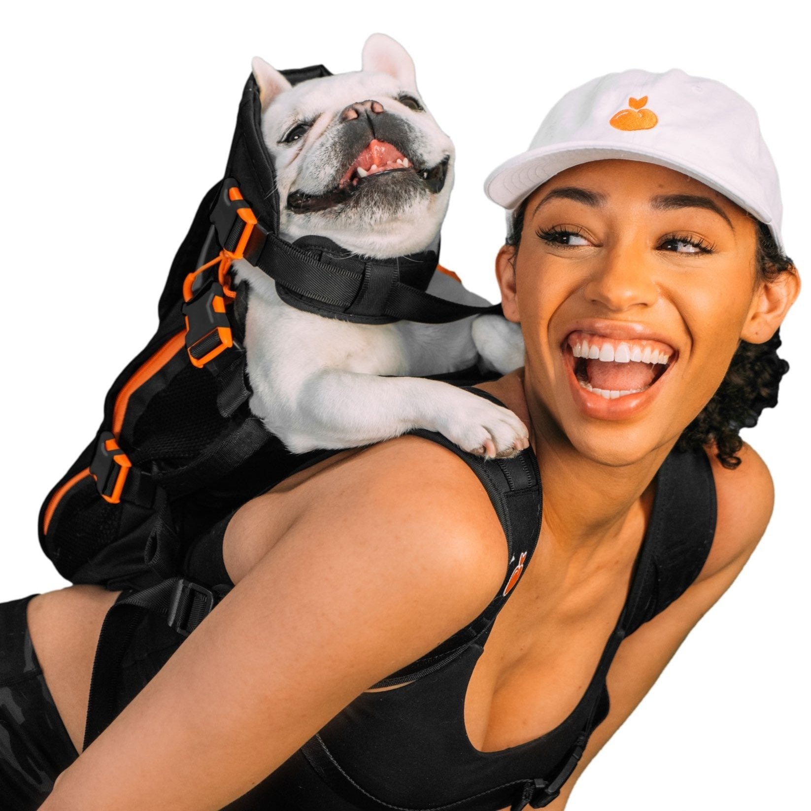 The Maxine One Small, Bark After Dark Black